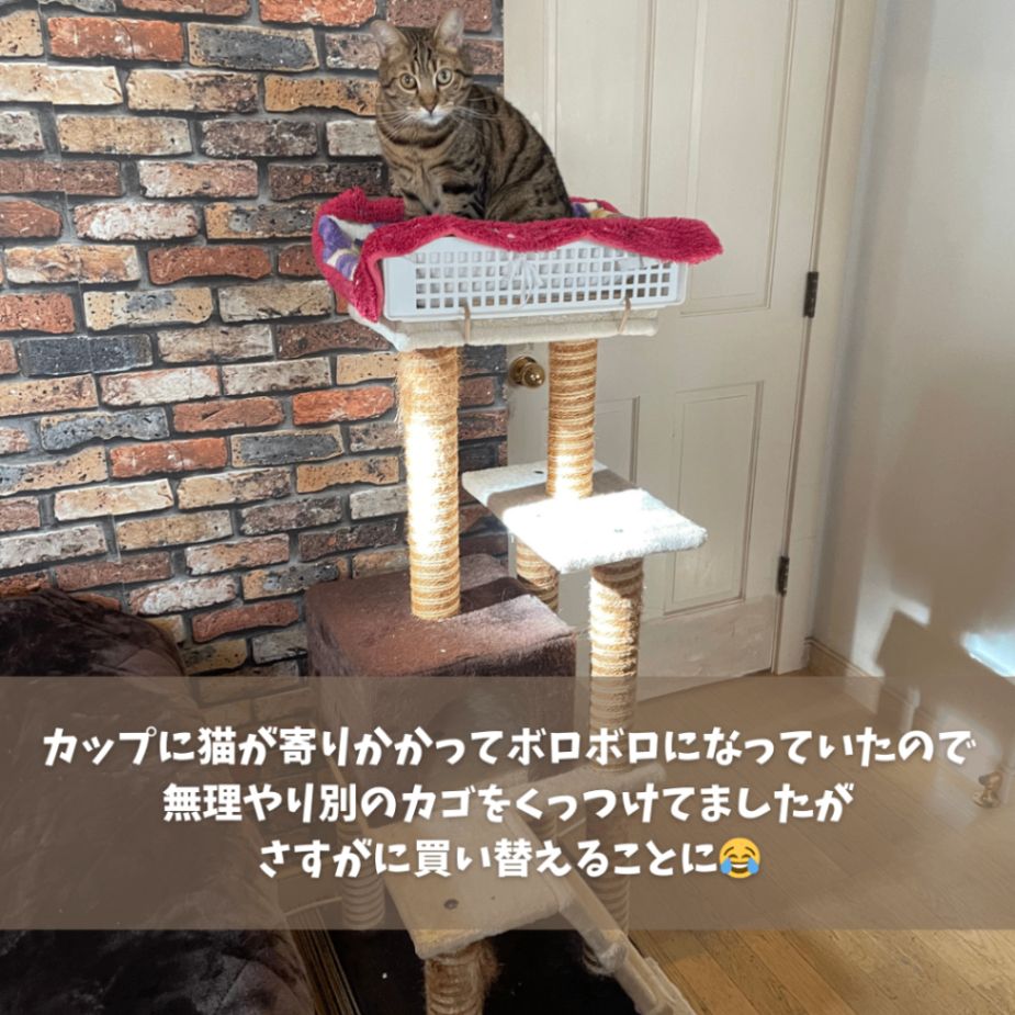 キャットウォーク 木製 吊り橋 DIY キャットタワー 耐荷重40KG