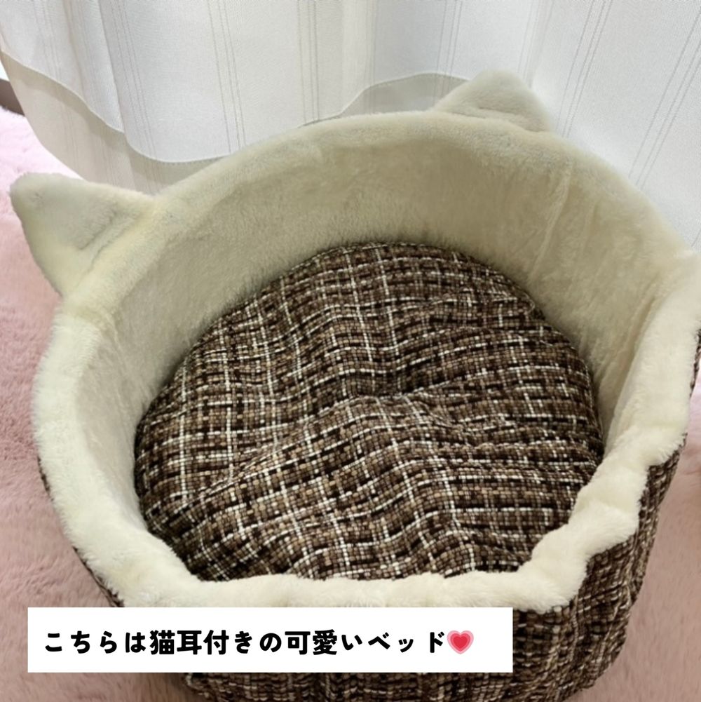 金魚に餌やり？！じゃなくて猫ちゃんの金魚鉢 | くらシェア
