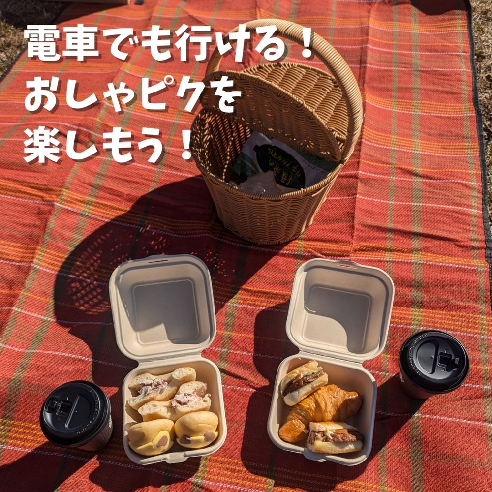 Amazon | カインズ(CAINZ) 大型BBQスモーカーグリル | カインズ