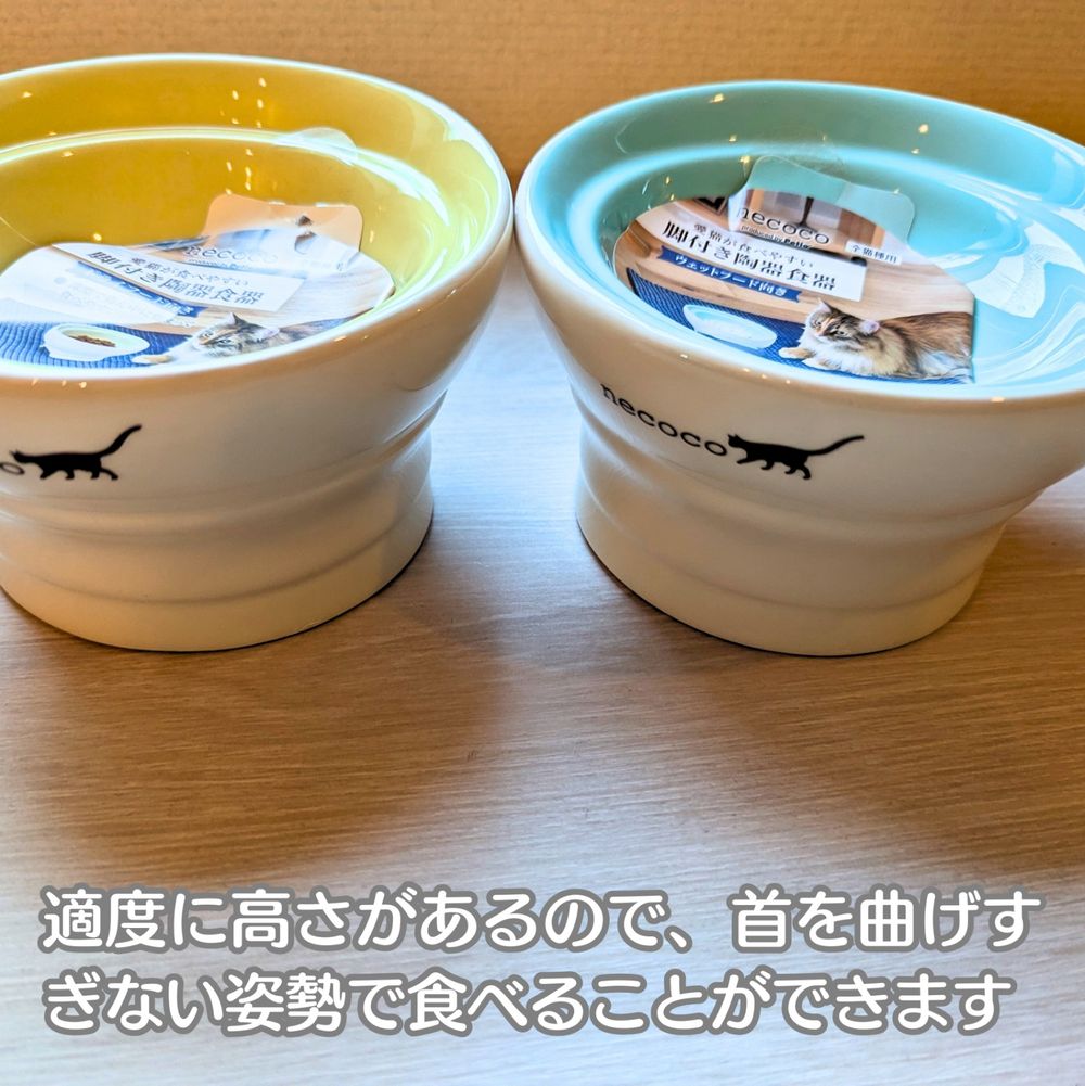 Necoco cat shops bowl