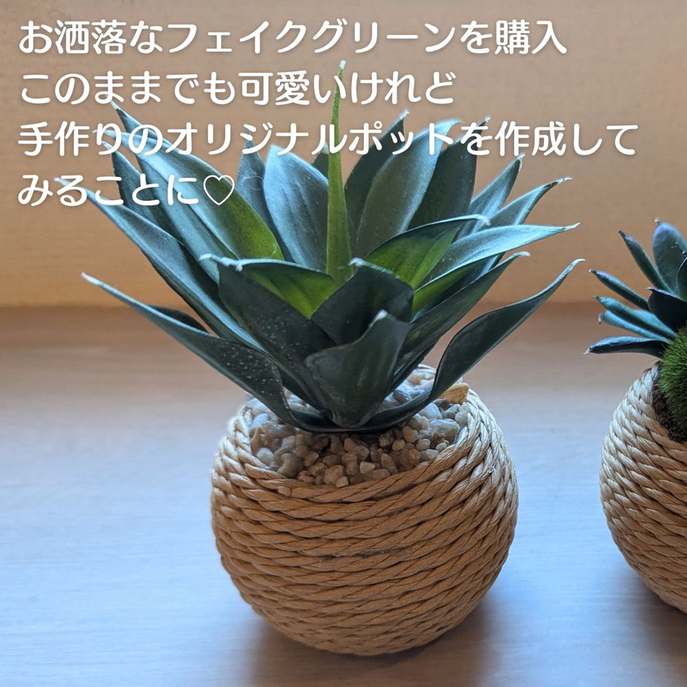 No.127 アガべ ホリダ × 広範囲 Incomplete pot セメント